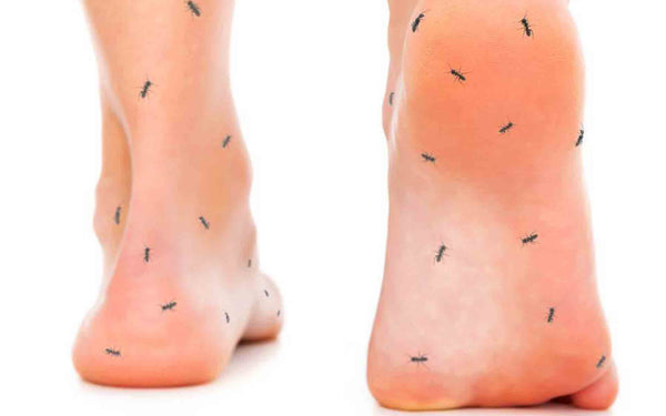 Adormecimiento del talón del pie: causas y tratamiento